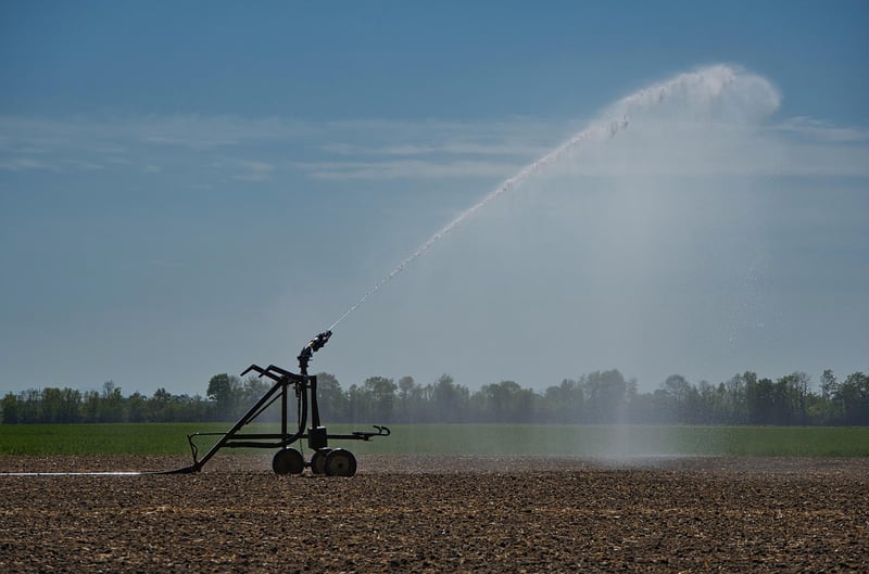 Drip irrigation system